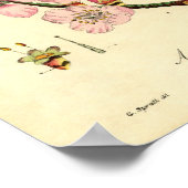 植物性プリントアーモンド ポスター (角)