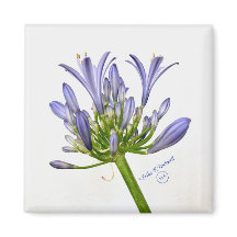 植物性プリント – リリー・オブ・ザ・ナイル