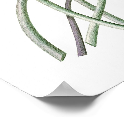 植物性プレミアム水彩プリント ポスター (角)