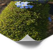 植物性モッシー忘れソードブルー – me-Not Flowers ポスター (角)