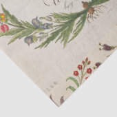 植物性リースの分離紙 薄葉紙 (詳細)