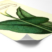 植物性ヴィンテージフラワーポスター ポスター (角)