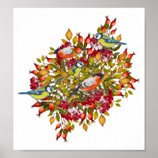 植物性動植物・鳥類イラストレーションポスター ポスター (正面)