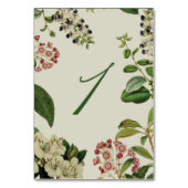 植物性卓上の番号 – クリーム テーブルナンバー (裏面)