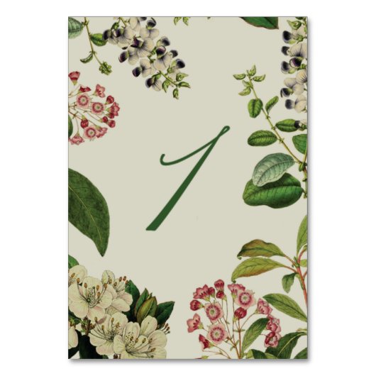 植物性卓上の番号 – クリーム テーブルナンバー (正面)