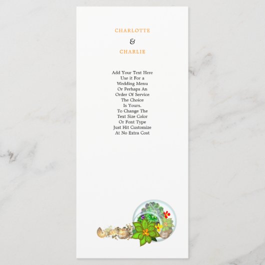 植物性多肉類 | ビーチパーソナライズされた プログラム (正面)