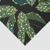 植物性斑入りベゴニア葉 薄葉紙 (詳細)