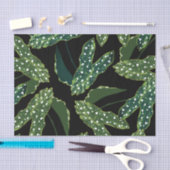 植物性斑入りベゴニア葉 薄葉紙 (クラフト)