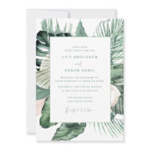 植物性熱帯結婚生物