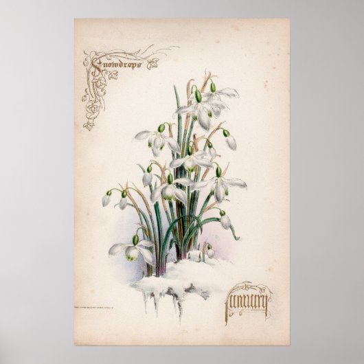 植物性版木、銅版、版画、1月 ポスター (正面)