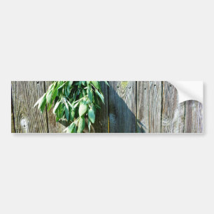 植物性緑動揺して草の木目 バンパーステッカー