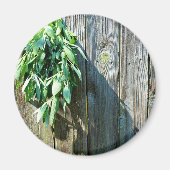 植物性緑動揺して草の木目 マグネット (正面)