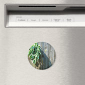 植物性緑動揺して草の木目 マグネット (インサイチュ (食洗機))