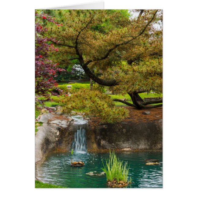 植物性至福 (正面)