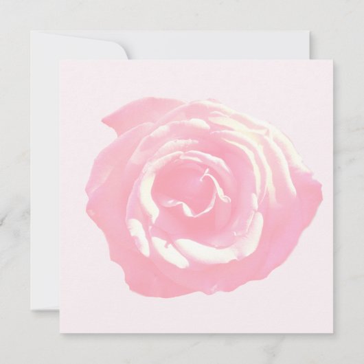 植物性花嫁結婚カード 招待状 (裏面)