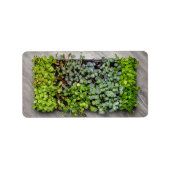 植物性苗 ラベル (正面)