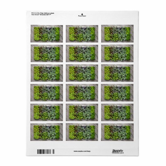 植物性苗 ラベル (フルシート)