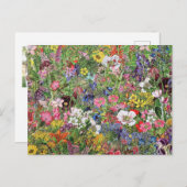 植物性開花自然野草 シーズンポストカード (正面/裏面)