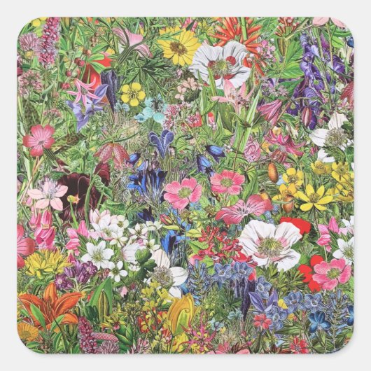 植物性開花自然野草 スクエアシール (正面)