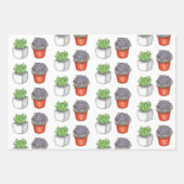 植物愛好家ハンドドローしたサボテンと多肉植物 ラッピングペーパーシート (正面3)