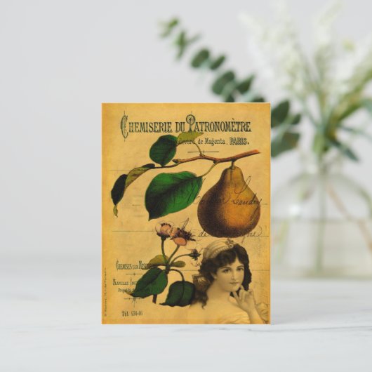 植物果実 ポストカード (スタンド正面)