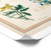 植物毒のヴィンテージ ポスター (角)