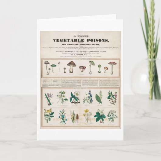 植物毒ビンテージポスターのテーブル カード (正面)