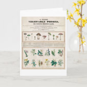 植物毒ビンテージポスターのテーブル カード (黄色い花)