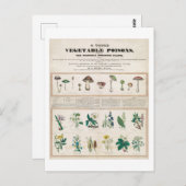 植物毒ビンテージポスターのテーブル ポストカード (正面/裏面)