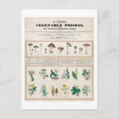 植物毒ビンテージポスターのテーブル ポストカード (正面)