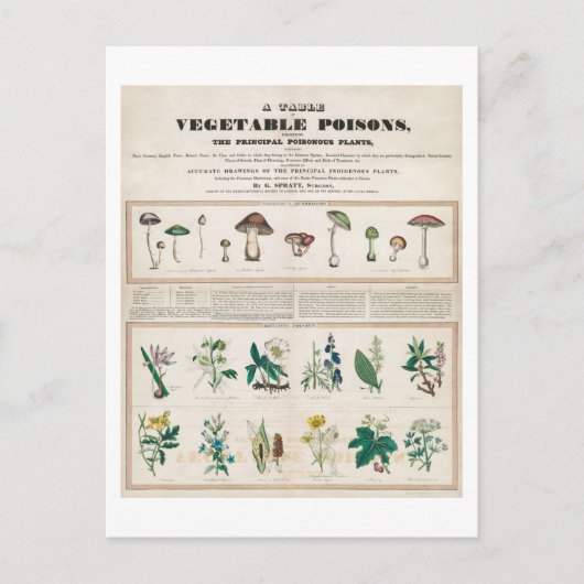 植物毒ビンテージポスターのテーブル ポストカード (正面)