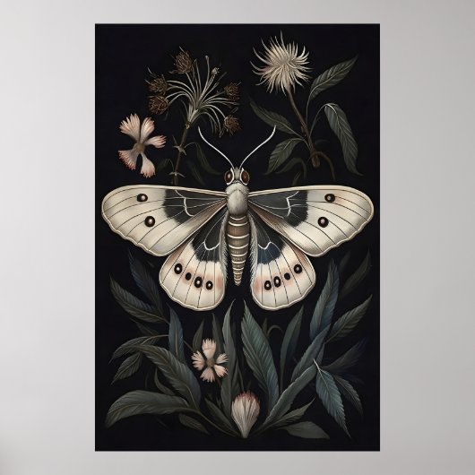 植物画の蛾 アートプリント、ヴィンテージの蝶 ポスター (正面)