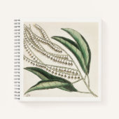 植物画の18世紀アート スケッチブック ノート (正面)
