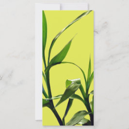 植物画ラッキーバンブーグリーンの葉のブックマーク