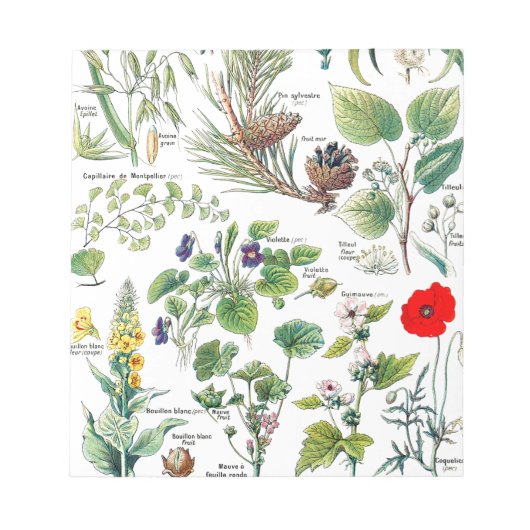 植物画 ノートパッド (正面)