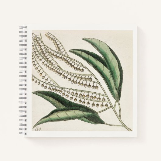 植物画 18世紀アートノートブック ノートブック (正面)