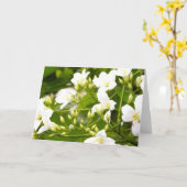 植物相のすべての行事の挨拶を開花するよろしいです カード (黄色い花)