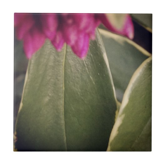 植物相のタイルDaphne タイル (正面)