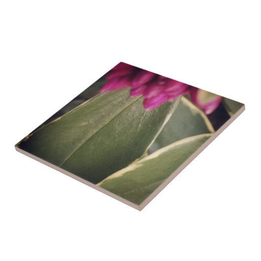 植物相のタイルDaphne タイル (側面)