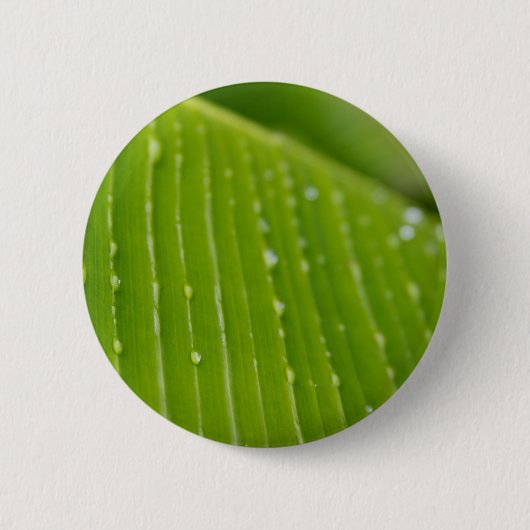植物相ドミニカ2 缶バッジ (正面)