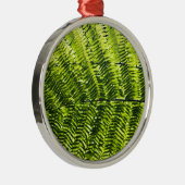 植物相ドミニカ5 メタルオーナメント (右)