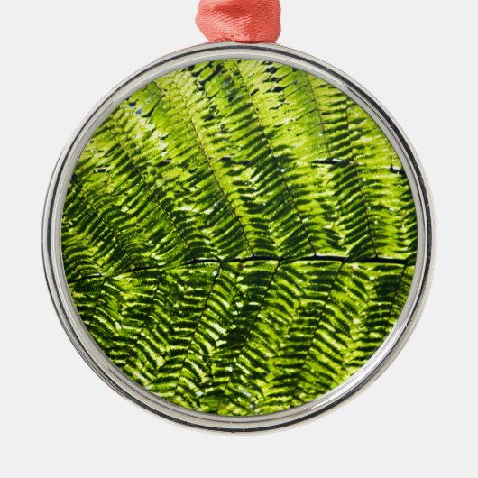 植物相ドミニカ5 メタルオーナメント (正面)