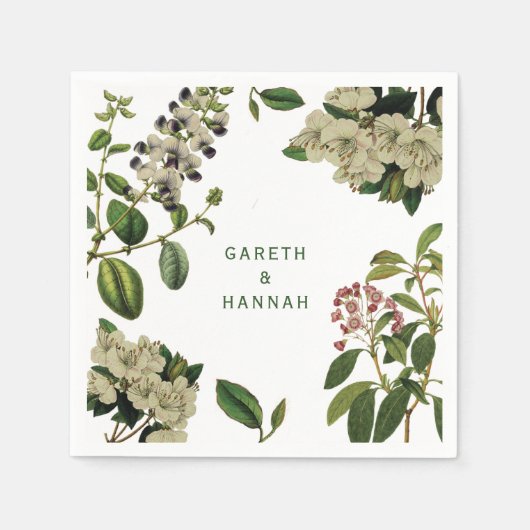 植物紙ナプキン スタンダードカクテルナプキン (正面)