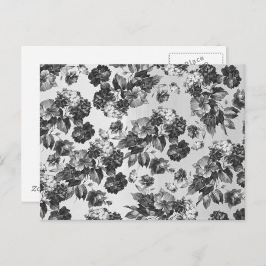 植物素朴ヴィンテージ白黒フローラ ポストカード (正面/裏面)