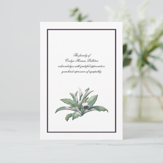 植物自然悔やみや弔慰サンキューカード 招待状 (スタンド正面)