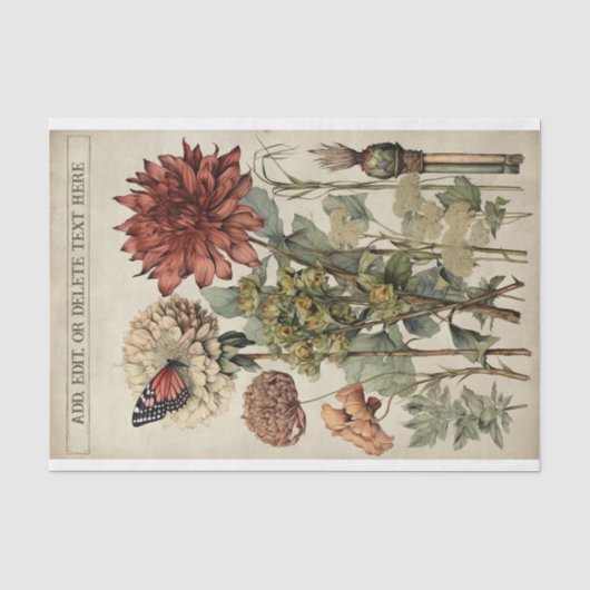 植物花イラスト第5章 薄葉紙 (正面)
