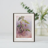 植物花ハガキ ポストカード (スタンド正面)