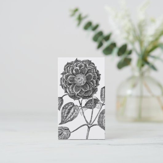 植物花 名刺 (スタンド正面)