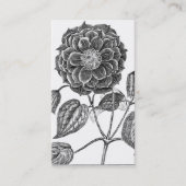 植物花 名刺 (正面)