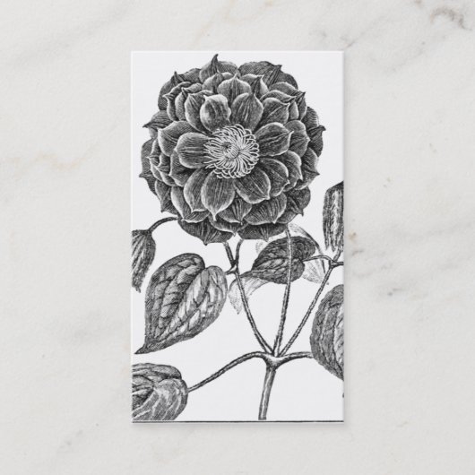 植物花 名刺 (正面)